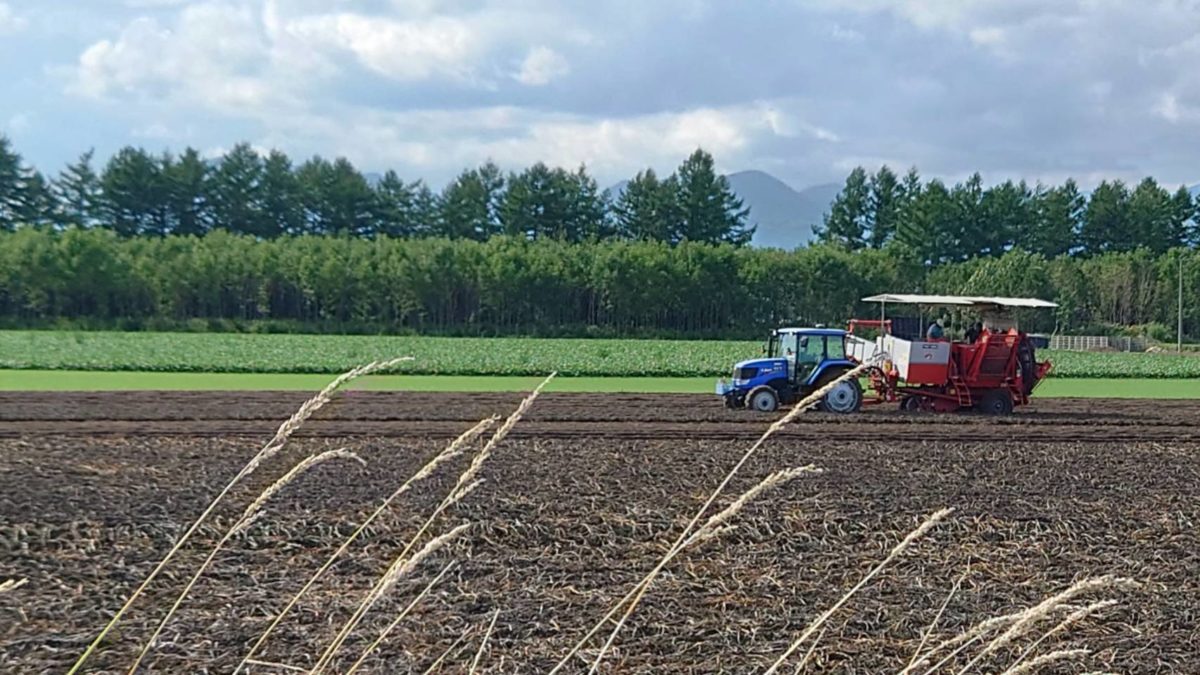 秋の便り From 帯広